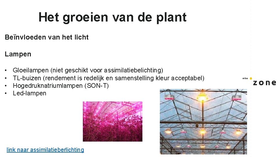 Het groeien van de plant Beïnvloeden van het licht Lampen • • Gloeilampen (niet