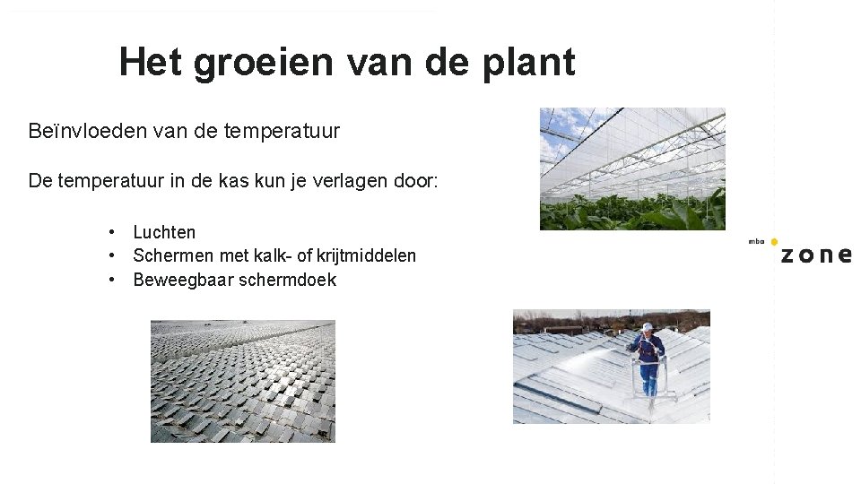 Het groeien van de plant Beïnvloeden van de temperatuur De temperatuur in de kas