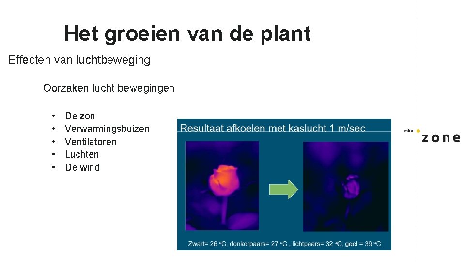 Het groeien van de plant Effecten van luchtbeweging Oorzaken lucht bewegingen • • •