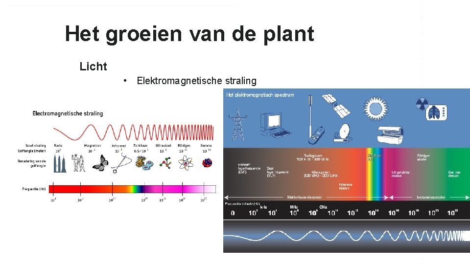 Het groeien van de plant Licht • Elektromagnetische straling 