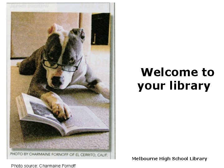 Welcome to your library Melbourne High School Library Photo source: Charmaine Fornoff 