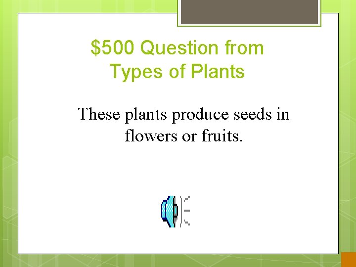 $500 Question from Types of Plants These plants produce seeds in flowers or fruits.