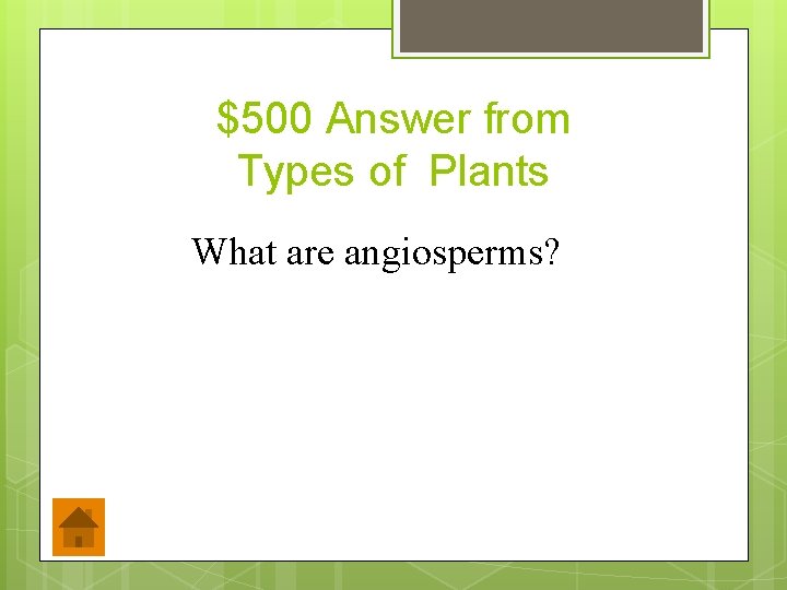 $500 Answer from Types of Plants What are angiosperms? 