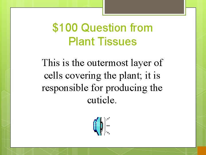 $100 Question from Plant Tissues This is the outermost layer of cells covering the