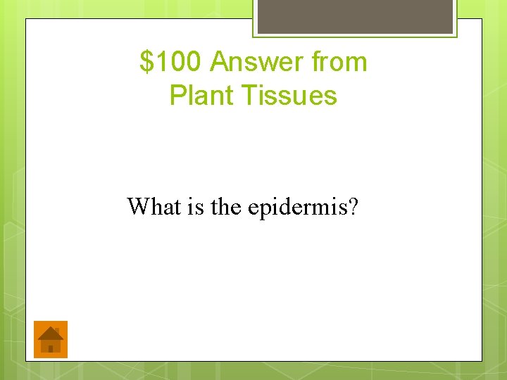 $100 Answer from Plant Tissues What is the epidermis? 