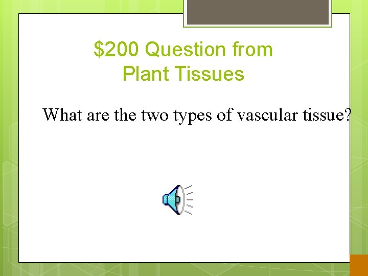 $200 Question from Plant Tissues What are the two types of vascular tissue? 