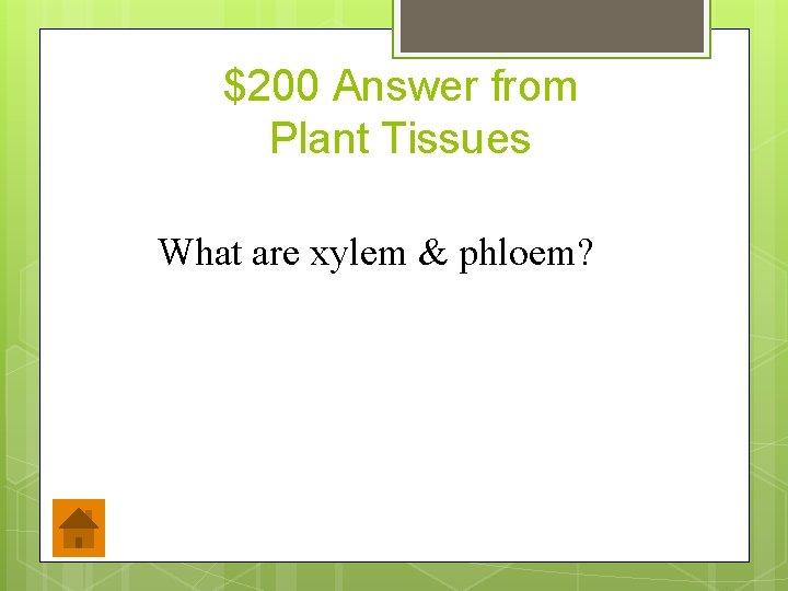 $200 Answer from Plant Tissues What are xylem & phloem? 
