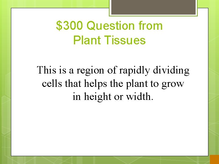 $300 Question from Plant Tissues This is a region of rapidly dividing cells that