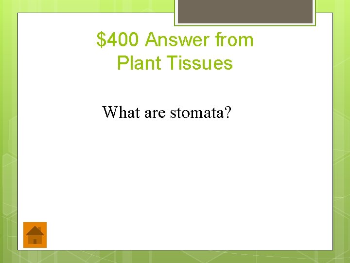 $400 Answer from Plant Tissues What are stomata? 