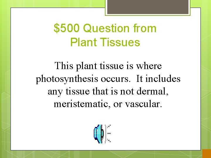 $500 Question from Plant Tissues This plant tissue is where photosynthesis occurs. It includes