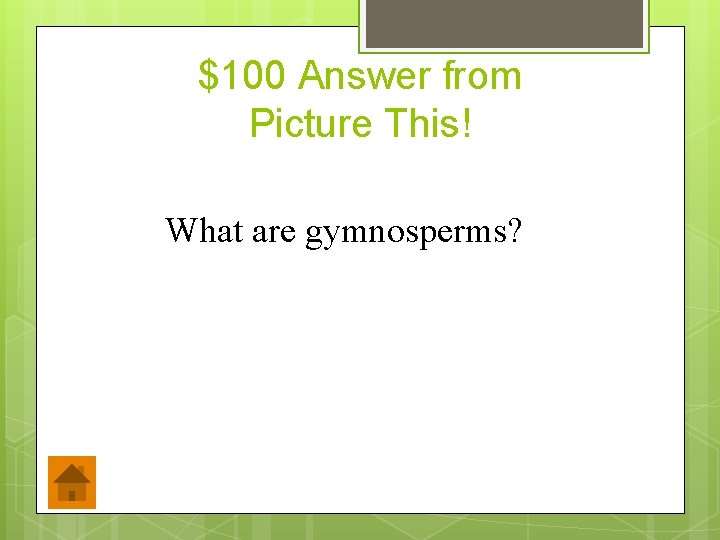 $100 Answer from Picture This! What are gymnosperms? 