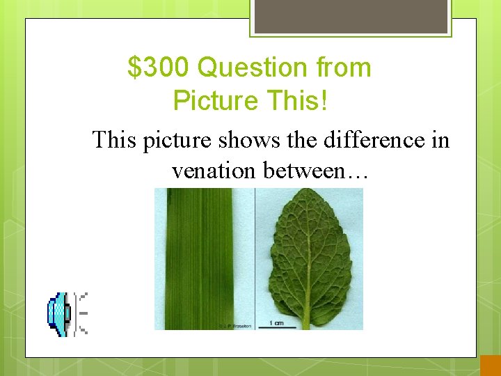 $300 Question from Picture This! This picture shows the difference in venation between… 