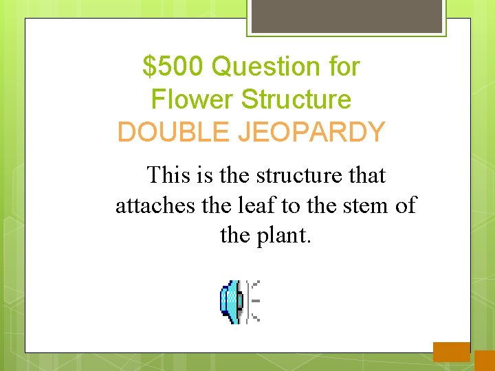 $500 Question for Flower Structure DOUBLE JEOPARDY This is the structure that attaches the
