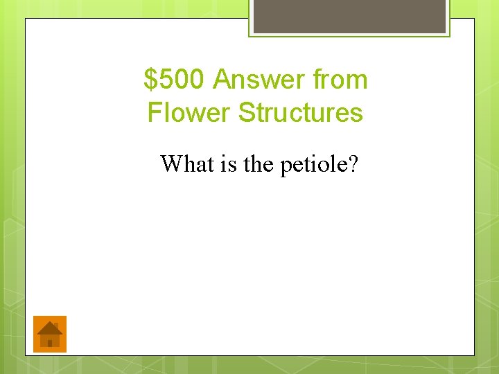 $500 Answer from Flower Structures What is the petiole? 