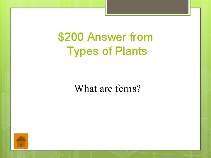 $200 Answer from Types of Plants What are ferns? 