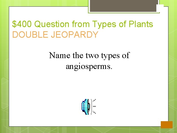 $400 Question from Types of Plants DOUBLE JEOPARDY Name the two types of angiosperms.
