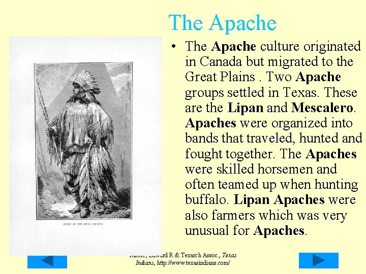 The Apache • The Apache culture originated in Canada but migrated to the Great The Apache • The Apache culture originated in Canada but migrated to the Great