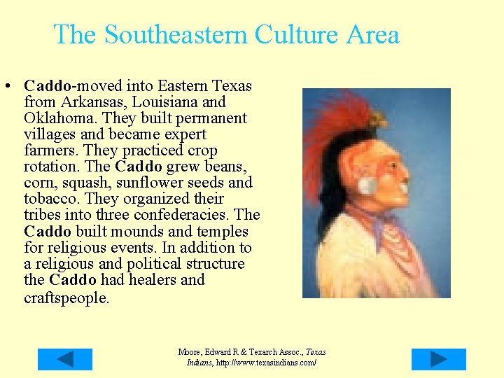 The Southeastern Culture Area • Caddo-moved into Eastern Texas from Arkansas, Louisiana and Oklahoma. The Southeastern Culture Area • Caddo-moved into Eastern Texas from Arkansas, Louisiana and Oklahoma.