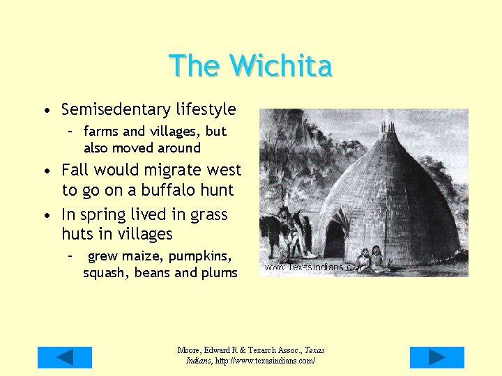 The Wichita • Semisedentary lifestyle – farms and villages, but also moved around • The Wichita • Semisedentary lifestyle – farms and villages, but also moved around •