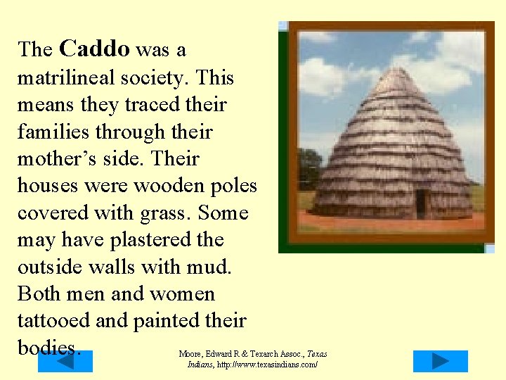 The Caddo was a matrilineal society. This means they traced their families through their The Caddo was a matrilineal society. This means they traced their families through their