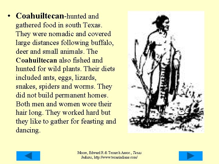 • Coahuiltecan-hunted and gathered food in south Texas. They were nomadic and covered • Coahuiltecan-hunted and gathered food in south Texas. They were nomadic and covered