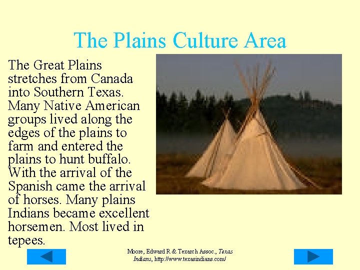The Plains Culture Area The Great Plains stretches from Canada into Southern Texas. Many The Plains Culture Area The Great Plains stretches from Canada into Southern Texas. Many
