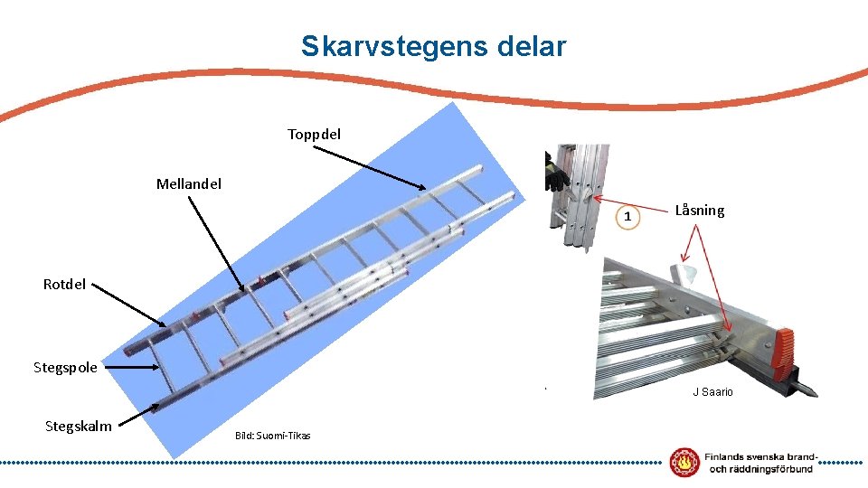 Skarvstegens delar Toppdel Mellandel Låsning Rotdel Stegspole J Saario Stegskalm Bild: Suomi-Tikas 