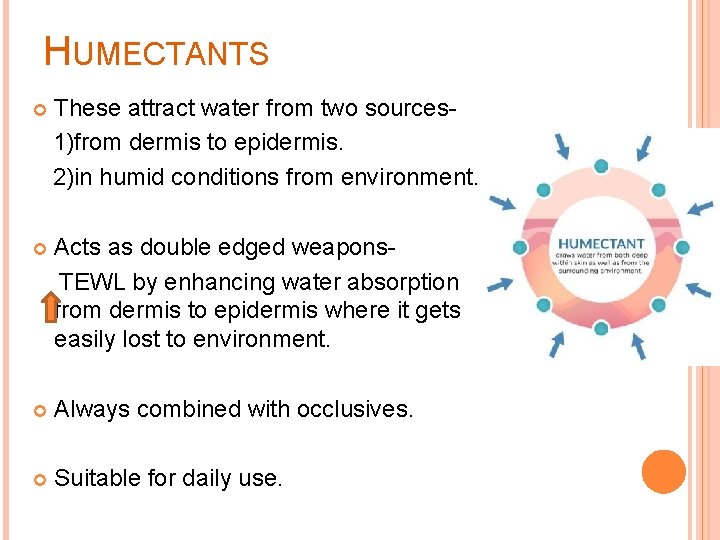 HUMECTANTS These attract water from two sources 1)from dermis to epidermis. 2)in humid conditions