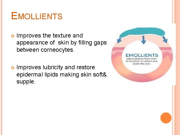 EMOLLIENTS Improves the texture and appearance of skin by filling gaps between corneocytes. Improves
