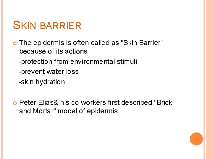 SKIN BARRIER The epidermis is often called as “Skin Barrier” because of its actions