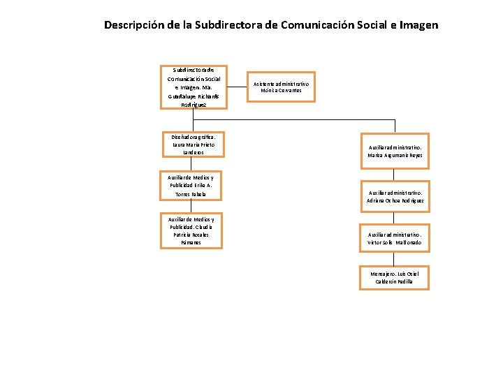 Descripción de la Subdirectora de Comunicación Social e Imagen. Ma. Guadalupe Richards Rodríguez Diseñadora