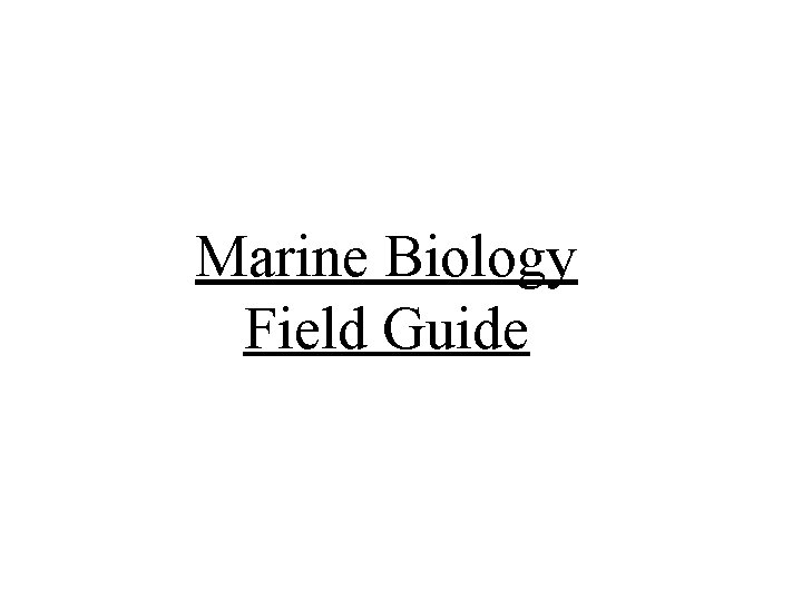 Marine Biology Field Guide 