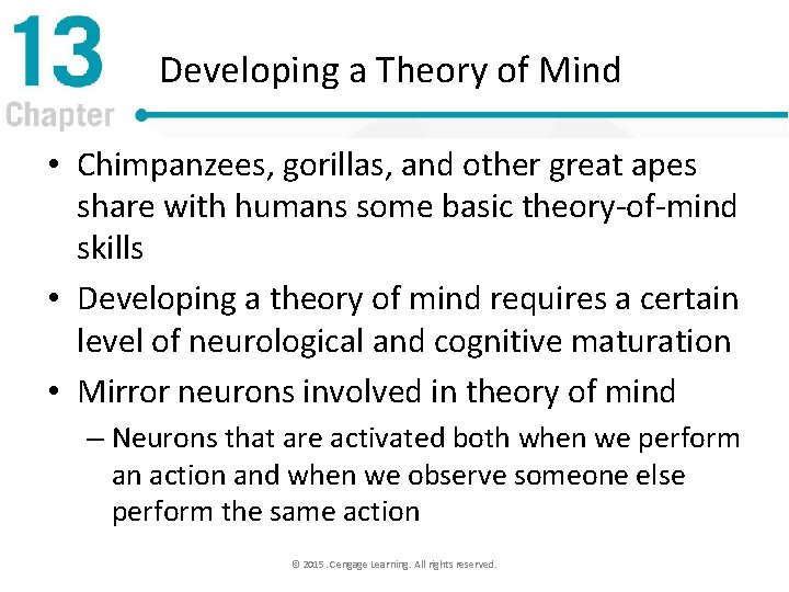 Developing a Theory of Mind • Chimpanzees, gorillas, and other great apes share with