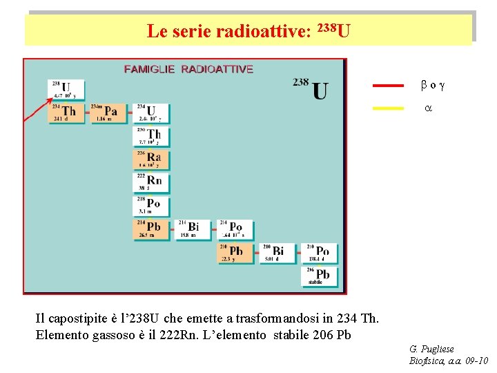 Le serie radioattive: 238 U bog a Il capostipite è l’ 238 U che