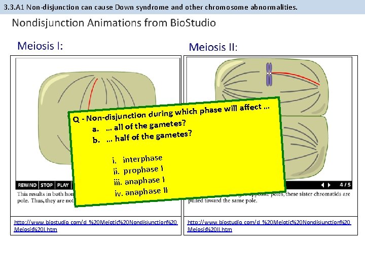 3. 3. A 1 Non-disjunction cause Down syndrome and other chromosome abnormalities. hase wil