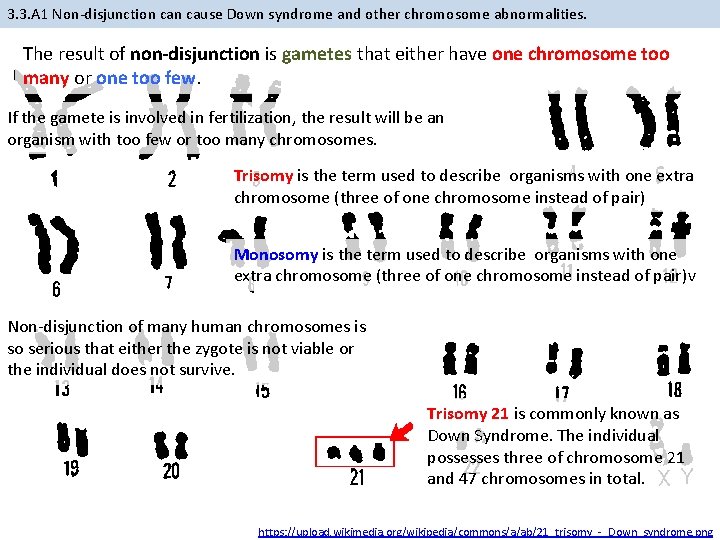 3. 3. A 1 Non-disjunction cause Down syndrome and other chromosome abnormalities. The result