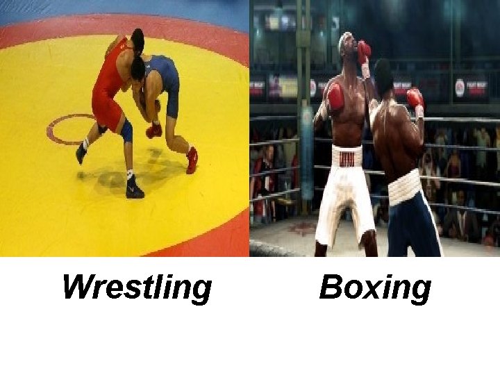 Wrestling Boxing 