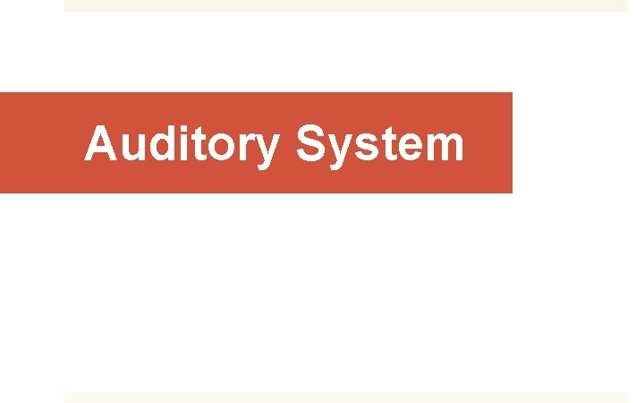 Auditory System 