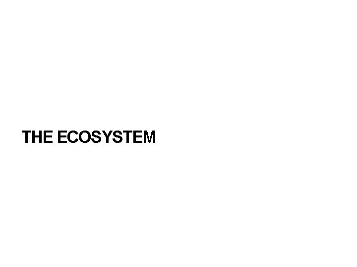 THE ECOSYSTEM 