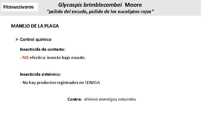 Fitosuccivoros Glycaspis brimblecombei Moore “psílido del escudo, psílido de los eucaliptos rojos” MANEJO DE Fitosuccivoros Glycaspis brimblecombei Moore “psílido del escudo, psílido de los eucaliptos rojos” MANEJO DE