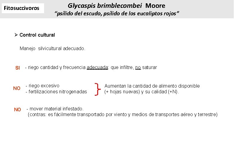 Fitosuccivoros Glycaspis brimblecombei Moore “psílido del escudo, psílido de los eucaliptos rojos” Ø Control Fitosuccivoros Glycaspis brimblecombei Moore “psílido del escudo, psílido de los eucaliptos rojos” Ø Control