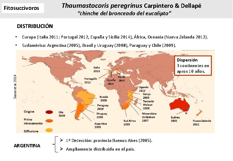 Fitosuccivoros Thaumastocoris peregrinus Carpintero & Dellapé “chinche del bronceado del eucalipto” DISTRIBUCIÓN • Europa Fitosuccivoros Thaumastocoris peregrinus Carpintero & Dellapé “chinche del bronceado del eucalipto” DISTRIBUCIÓN • Europa