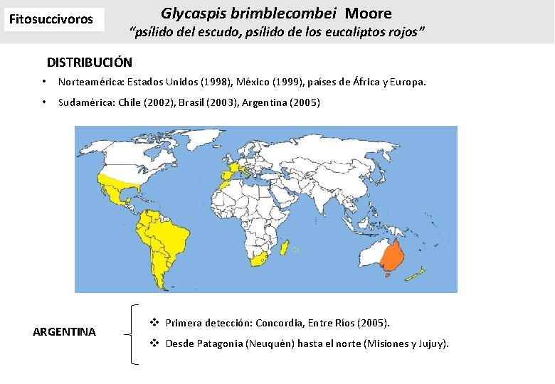 Fitosuccivoros Glycaspis brimblecombei Moore “psílido del escudo, psílido de los eucaliptos rojos” DISTRIBUCIÓN • Fitosuccivoros Glycaspis brimblecombei Moore “psílido del escudo, psílido de los eucaliptos rojos” DISTRIBUCIÓN •