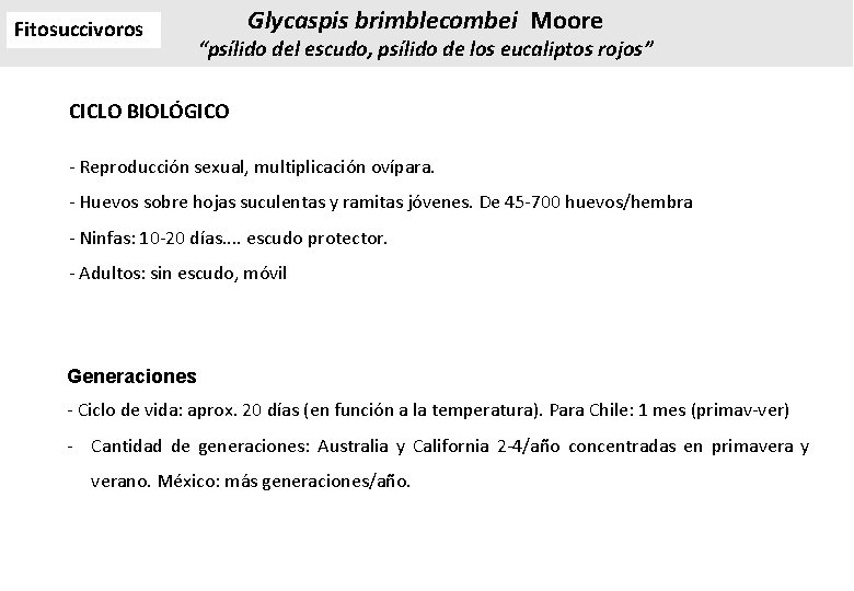 Fitosuccivoros Glycaspis brimblecombei Moore “psílido del escudo, psílido de los eucaliptos rojos” CICLO BIOLÓGICO Fitosuccivoros Glycaspis brimblecombei Moore “psílido del escudo, psílido de los eucaliptos rojos” CICLO BIOLÓGICO
