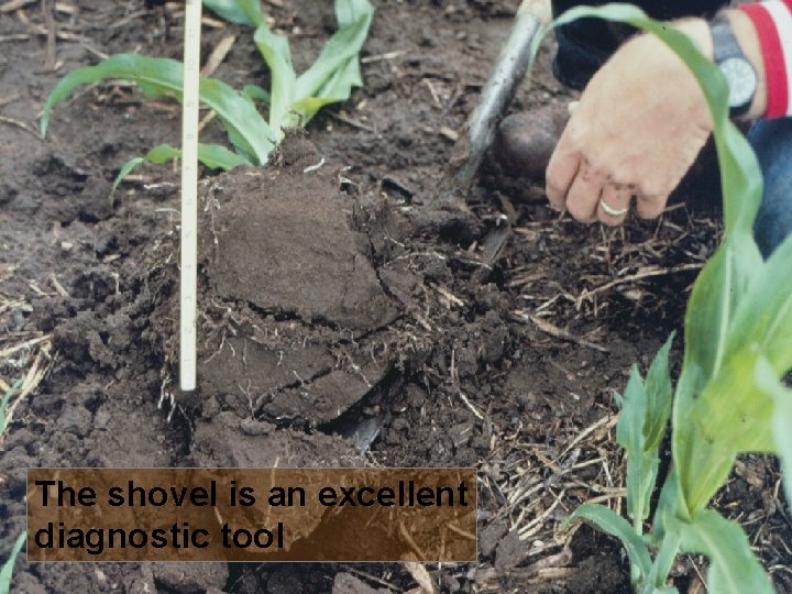 The shovel is an excellent diagnostic tool 