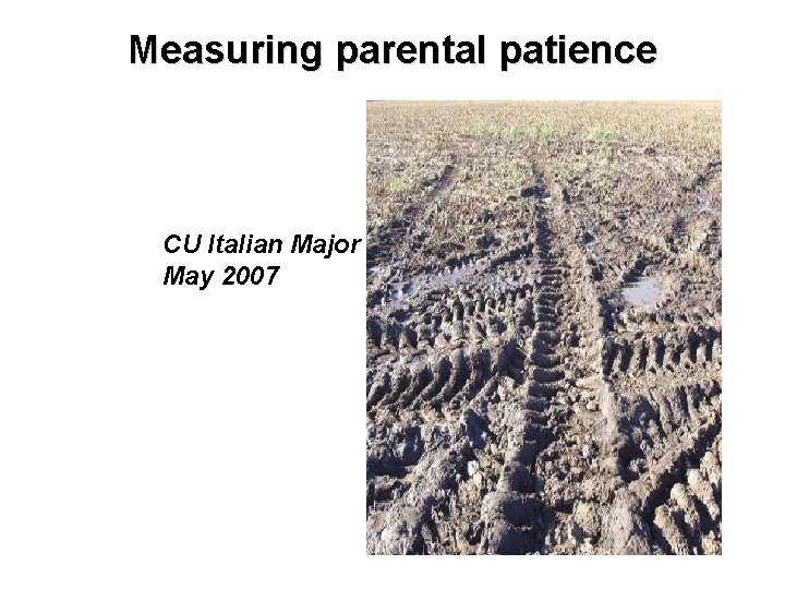Measuring parental patience CU Italian Major May 2007 