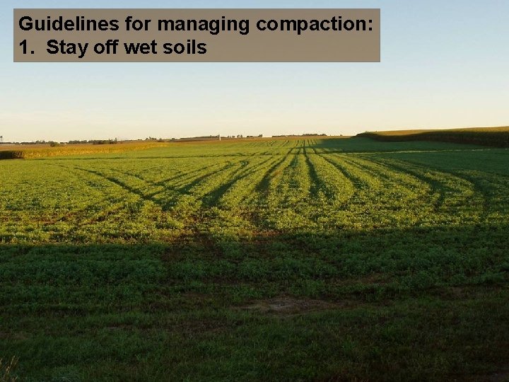 Guidelines for managing compaction: 1. Stay off wet soils 