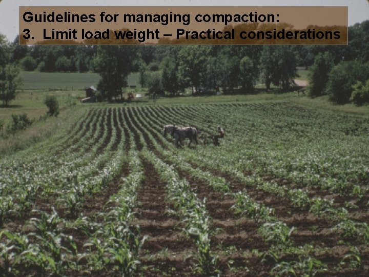 Guidelines for managing compaction: 3. Limit load weight – Practical considerations 