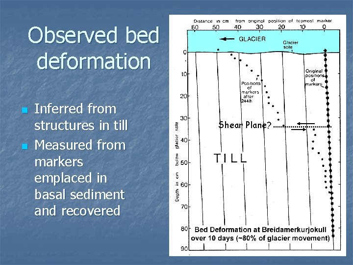 Observed bed deformation n n Inferred from structures in till Measured from markers emplaced