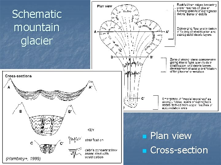 Schematic mountain glacier n n Plan view Cross-section 